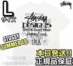 ステューシー SUMMER TWENTY THREE Tシャツ Lサイズ