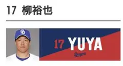 中日ドラゴンズ　17柳裕也選手　FCセット
