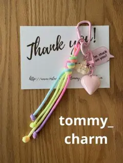 No.2018 じゃらじゃらキーホルダー　パラコードとホイップワンコ③