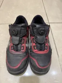 Item thumbnail for item 7073571e-aeb4-4fa2-84f2-cd93387db6c9