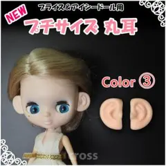 2025年最新】プチアイシードールの人気アイテム - メルカリ