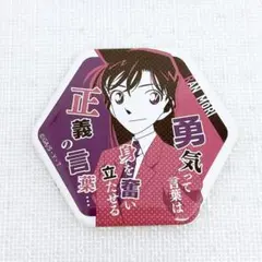 名探偵コナン 毛利蘭 セリフ入りキャラバッジコレクション 六角形