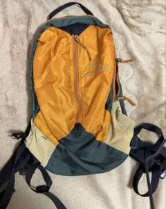 値下げ アークテリクスリュック(バックパック)SFEAR 20l(美品) | Mercari