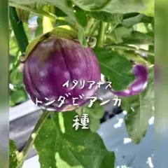 やわぐ様 リクエスト 3点 まとめ商品