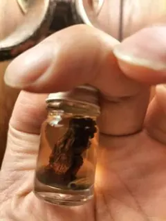 特注品 タキアン油 霊木油 プラクルアン 呪物 パンネン カパーラ