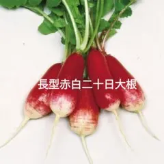 エリナ様 リクエスト 2点 まとめ商品