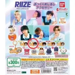 riize ぷっくりめじるしアクセサリー　ソンチャン