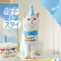 Item thumbnail for item 5105637a-65b0-47d7-9a01-30a3b054cf1b