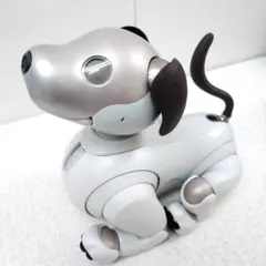 Item thumbnail for item acf4b481-1e33-4d0c-acaa-47cce5de681b