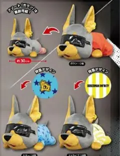 infinity 2026年最新】doberman ドービー　BIGぬいぐるみ 【５種】dobermaninfinity ぬいぐるみの人気アイテム メルカリ - ミュージシャン
