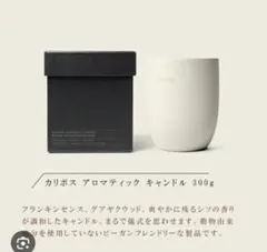 Aesop キャンドル 新品未使用 Aesop(イソップ) / アグラオニケ アロマティック キャンドルの