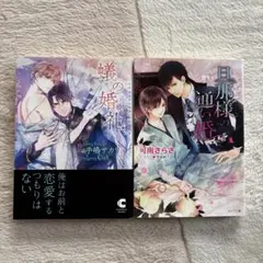 ＢＬ文庫 ２冊セット