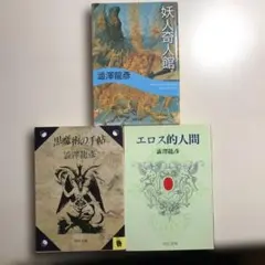 澁澤龍彦 3冊セット「妖人奇人館」「黒魔術の手帖」「エロス的人間」