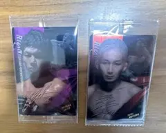 Item thumbnail for item b7bb5f2f-0c8d-4695-a75b-227eead8e3d5