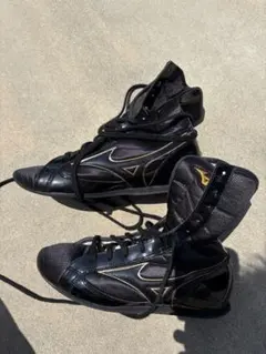 元中日ドラゴンズ平田選手 SSK スパイク サイン入り 収納袋付き 元中日ドラゴンズ平田選手 SSK スパイク サイン入り 収納袋付き - メルカリ