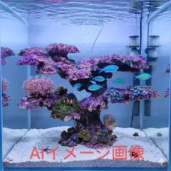 人工ライブロック BG30 38×26×29 アク抜き済み安心塗料使用 - メルカリ