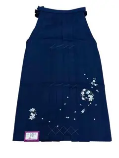 Item thumbnail for item e1b417d0-28da-487f-907e-a1251d37f5f8