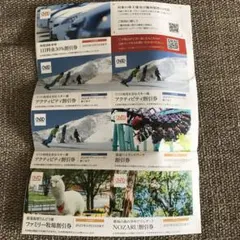 日本駐車場開発 株主優待 1冊 匿名配送