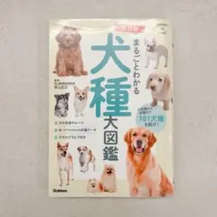 2025年最新】犬種大図鑑の人気アイテム - メルカリ