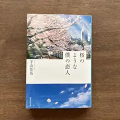 桜のような僕の恋人 小説