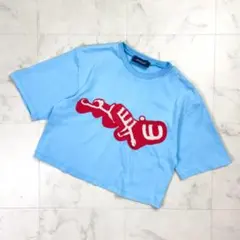 SPORTMAX 3D刺繍 ショート丈Tシャツ ライトブルー M*ND1380のサムネイル