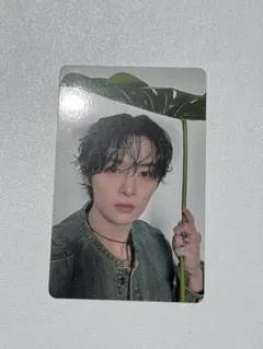 Straykids スキズ 5/11 エコパ 会場限定 トレカ リノ