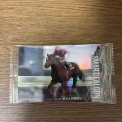 スマートファルコン 第56回東京大賞典 カード - メルカリ