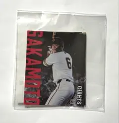 読売ジャイアンツ　坂本勇人　ステッカー