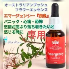 2026年最新】オーストラリアンブッシュの人気アイテム - メルカリ