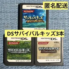 DS サバイバルキッズ 3本セット ソフトのみ