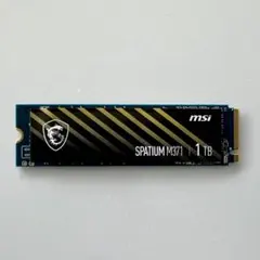 2026年最新】MSI M.2 SSD SPATIUM M371 1TBの人気アイテム - メルカリ