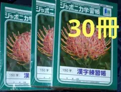 【未開封品】ジャポニカ学習帳 漢字練習帳150字 10冊パック×3