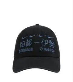 Travis scott FRAGMENT NIKE cactus jack