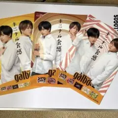 中島健人　菊池風磨 meiji galbo クリアファイル 7枚　下敷き2枚