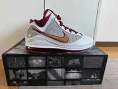 更新 値下げしました Nike LEBRON 7 "MVP"