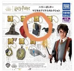 ハリー・ポッター　マジカルアイテムセレクション　トム・リドルの日記