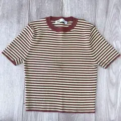 1度着用☆ZARA ザラ　サマーニットボーダーTシャツ　M　クロップド