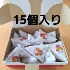 ディズニーリゾート　スナックケースグミ　グミキャンディ　15個　お菓子　グミのみ
