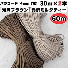 Item thumbnail for item 0a04bd6a-6fe3-43ff-896f-a625d805db44