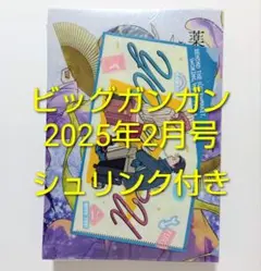 薬屋のひとりごと クリアファイル　4枚　月刊ビッグガンガン　付録　希少品あり 2026年最新】薬屋のひとりごと クリアファイル 付録の人気アイテム