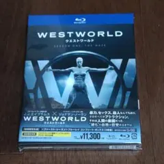 全巻セット】ウエストワールド DVD全14巻セット - メルカリ
