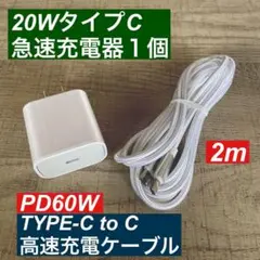 2mType-C to C PD60w急速充電ケーブルと20W高速充電器のセット