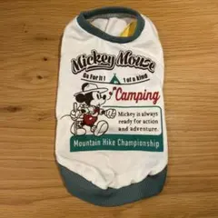 Item thumbnail for item 5beed562-f78f-4f98-974f-8a7935d7b616