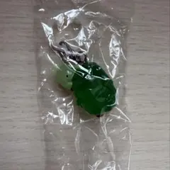 モリゾーとキッコロめじるしアクセサリー