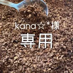 kana☆*様専用ページ✩︎⡱