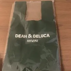 【再々々値下げ】DEAN & DELUCA ニットバックグリーン　カカオコ店限定