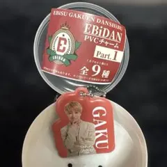 EBiDAN PVCチャーム　GAKUさん