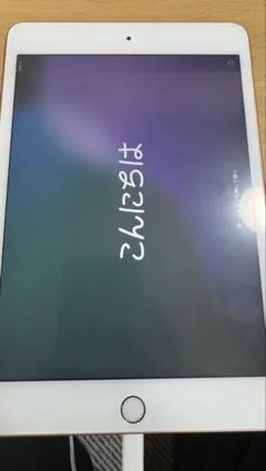 iPad mini 第５世代