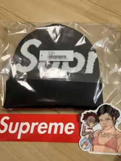 Supreme Big Logo Beanie 