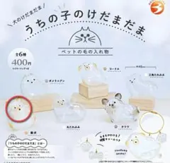 うちの子のけだまだま　犬のけだまだま　『柴犬』